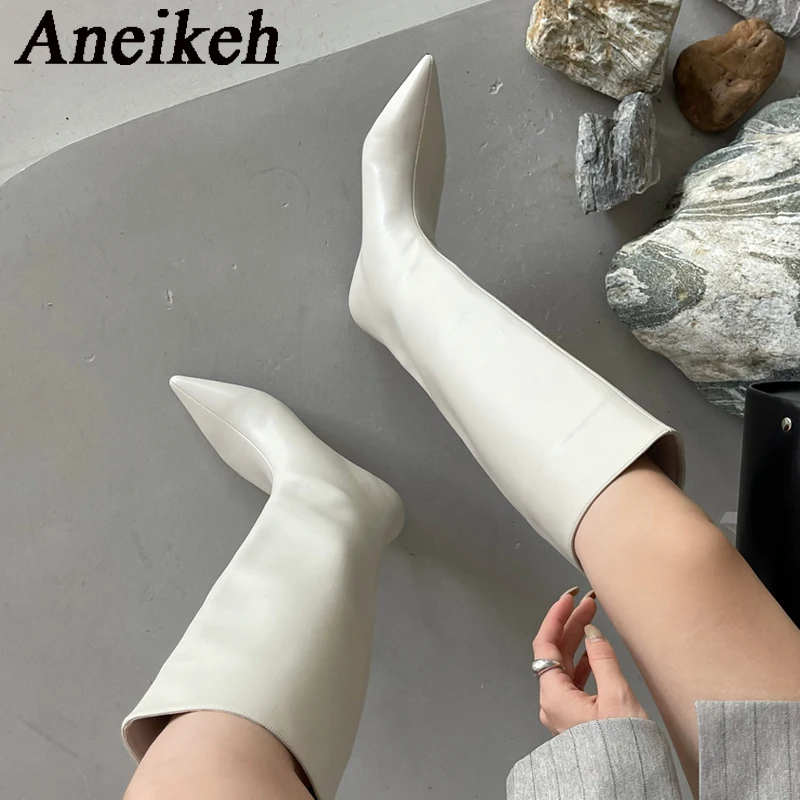Aneikeh 2026 Mode Sexy Puntige - Knee High Boots Women recensie en prijs