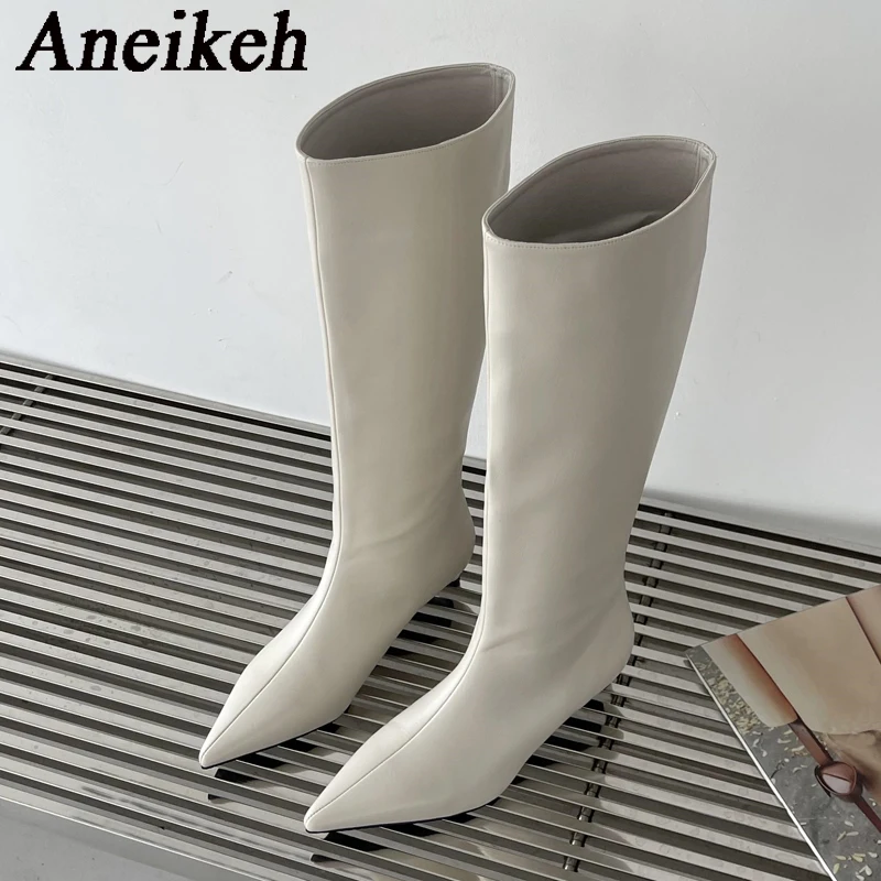 Aneikeh 2026 Mode Sexy Puntige - Knee High Boots Women recensie en prijs